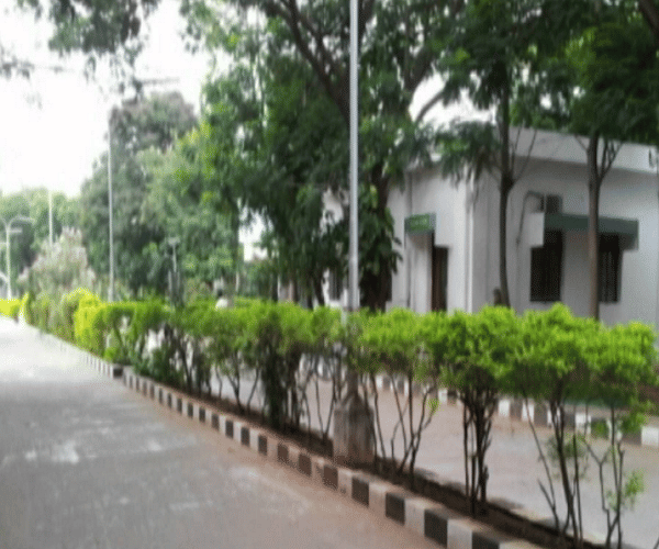 Crescent School of Architecture, B.S.Abdur Rahman University Chennai Building And Infrastructure photo 3